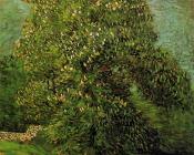 文森特 威廉 梵高 : 开花的栗子树